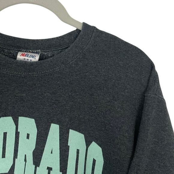 Jerzees NuBlend Grey & Blue Colorado RMNP Moose Graphic Sweatshirt - Picture 3 of 7